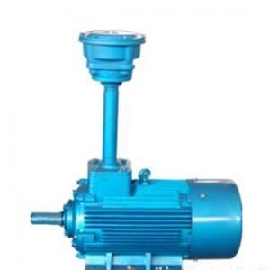 Explosion proof motor