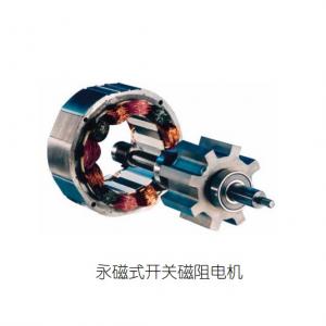 Permanent magnet switched reluctance motor