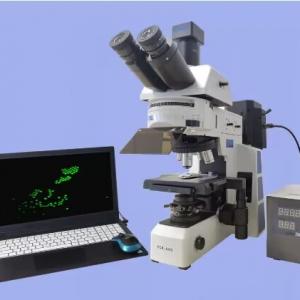 fluorescence microscope